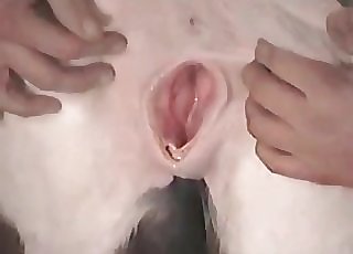 Horse shows off its beautiful big bootie in this bestiality video
