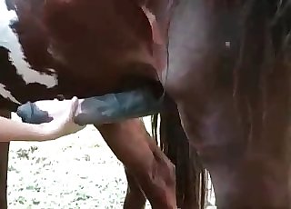 Big-dicked pony gets a ionate hj